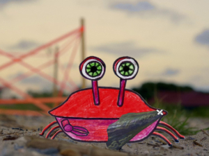 beach-claw